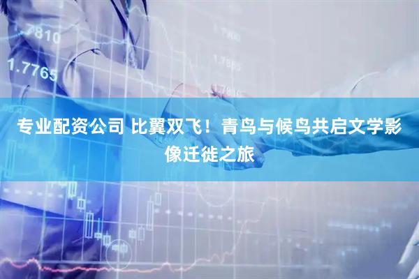 专业配资公司 比翼双飞！青鸟与候鸟共启文学影像迁徙之旅