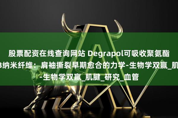 股票配资在线查询网站 Degrapol可吸收聚氨酯梯度PDGF-BB纳米纤维：肩袖撕裂早期愈合的力学-生物学双赢_肌腱_研究_血管